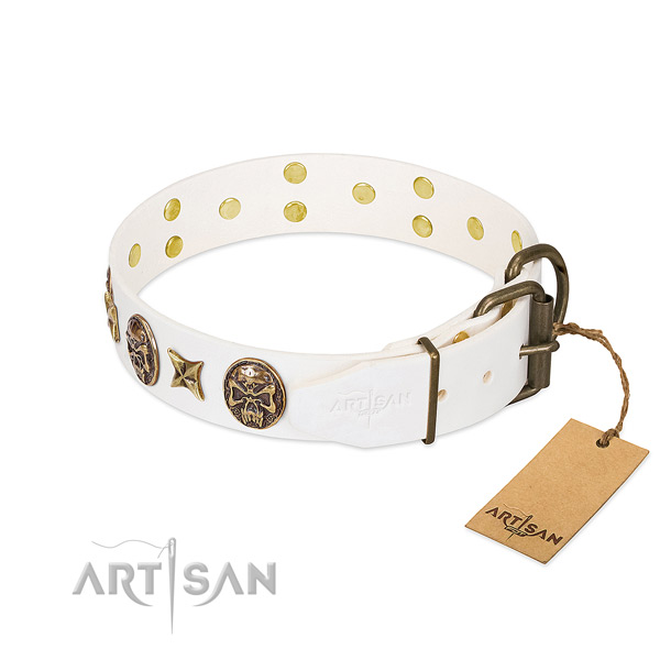 Corrosion proof traditional buckle on genuine leather collar for everyday walking your canine