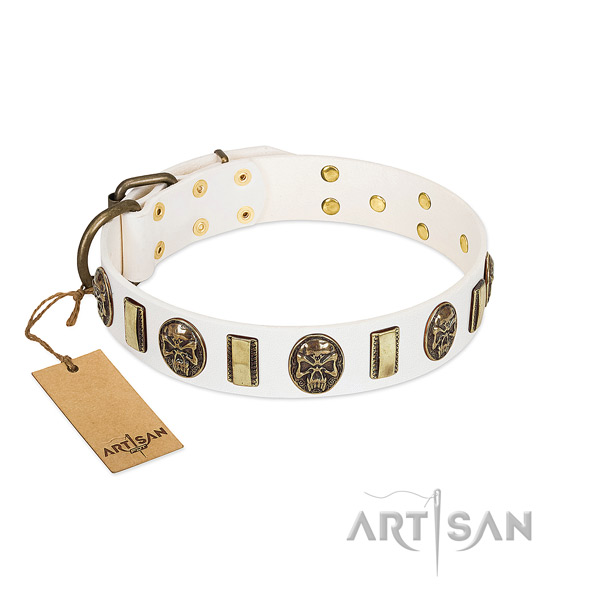 Unusual full grain genuine leather dog collar for basic training