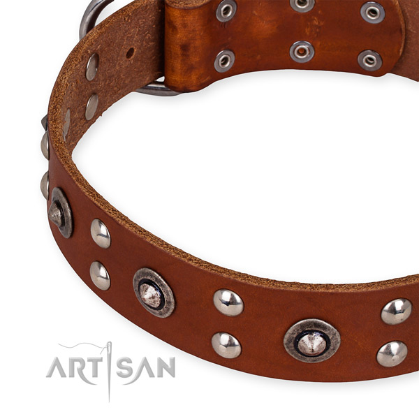 Full grain genuine leather collar with corrosion resistant buckle for your beautiful doggie