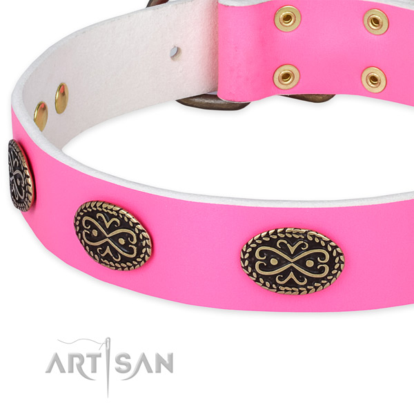 Full grain leather dog collar with studs for stylish walking