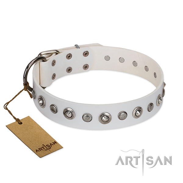 Best quality full grain natural leather dog collar with extraordinary adornments