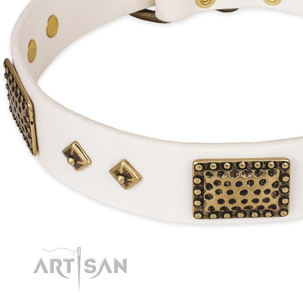 Strong buckle on genuine leather dog collar for your doggie