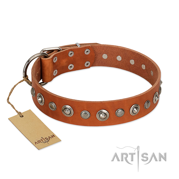 Quality full grain natural leather dog collar with significant studs