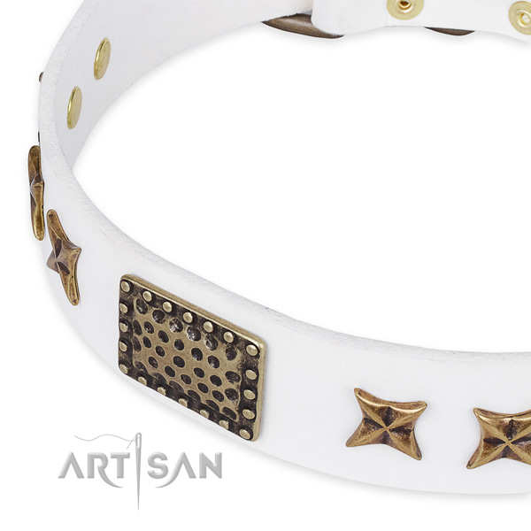 Full grain leather collar with reliable buckle for your lovely doggie