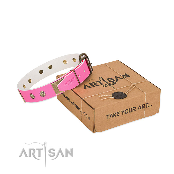 Rust resispinkt hardware on dog collar for handy use