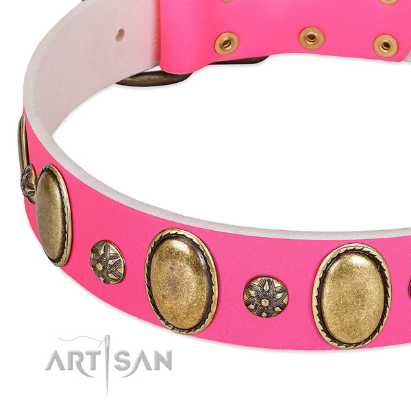 Quality full grain leather dog collar with strong fittings