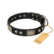 "Pirates Gold" FDT Artisan Black Leather Belgian Malinois Collar with Old Silver Look Plates and Skulls