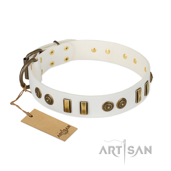 Rust resistant D-ring on leather dog collar for your pet
