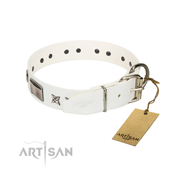 Exceptional collar of natural leather for your beautiful dog