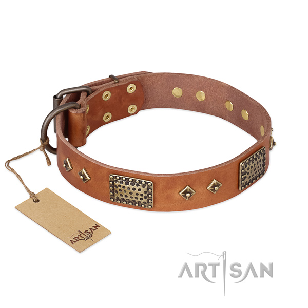 Handmade full grain leather dog collar for stylish walking
