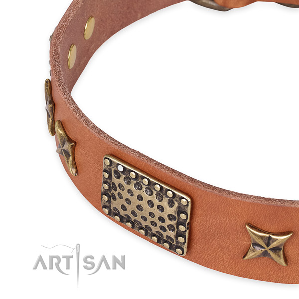 Natural genuine leather collar with rust resistant fittings for your handsome four-legged friend