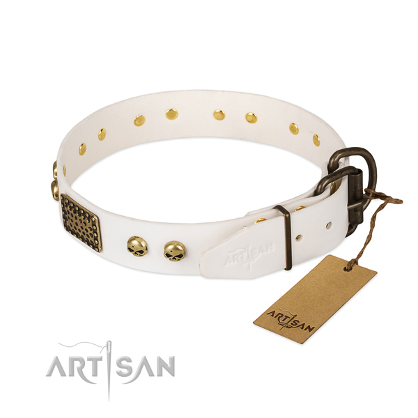 Easy to adjust full grain leather dog collar for stylish walking your pet