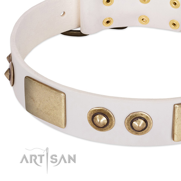 Corrosion proof traditional buckle on full grain genuine leather dog collar for your pet