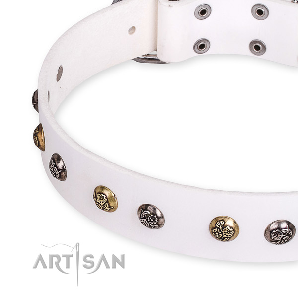 Full grain natural leather dog collar with exquisite corrosion proof decorations