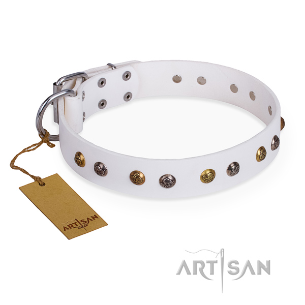 Walking significant dog collar with corrosion proof fittings
