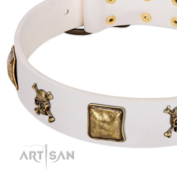 Unusual natural leather dog collar with corrosion resistant embellishments