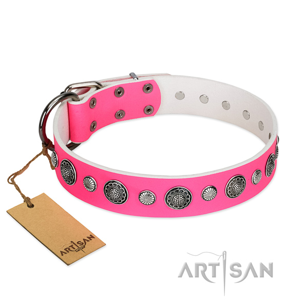 Strong genuine leather dog collar with rust-proof D-ring