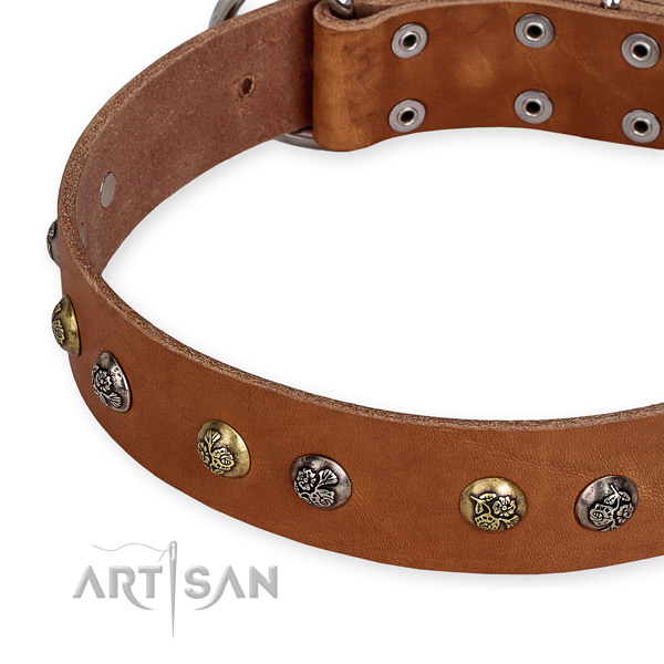 Full grain leather dog collar with fashionable rust resistant decorations