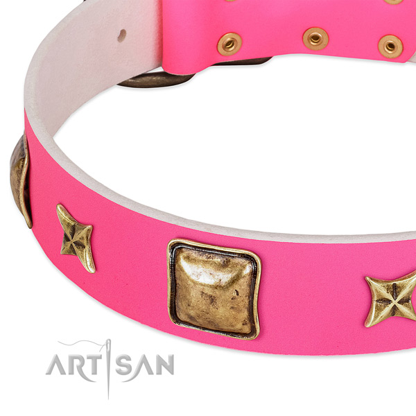 Natural leather dog collar with trendy embellishments