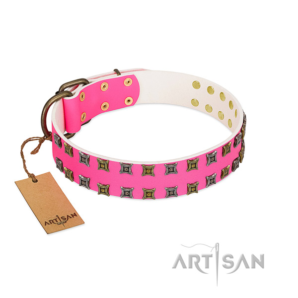 Full grain genuine leather collar with inimitable studs for your four-legged friend