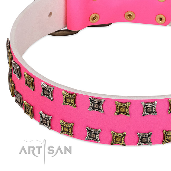 Full grain leather dog collar with unique decorations