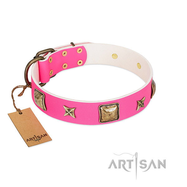 Full grain leather dog collar of top notch material with designer adornments