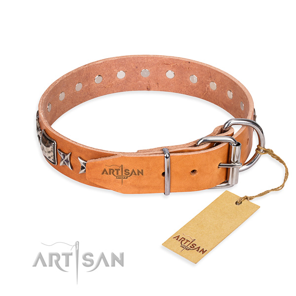 Strong decorated dog collar of full grain leather