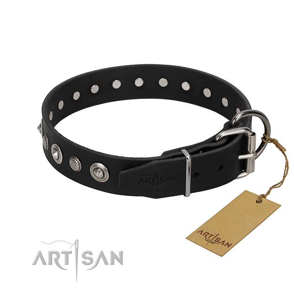 Quality leather dog collar with unique decorations