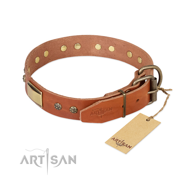 Full grain leather dog collar with rust-proof buckle and studs