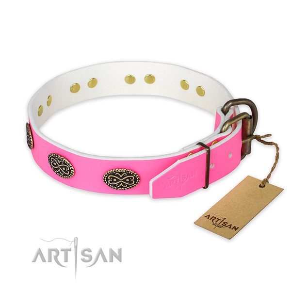 Corrosion resistant studs on stylish walking dog collar
