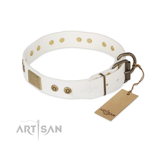 Genuine leather dog collar with strong hardware and adornments
