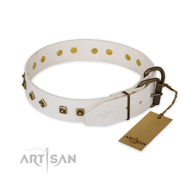 Durable fittings on leather collar for daily walking your canine