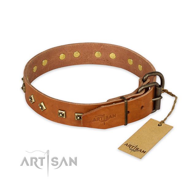 Rust resistant traditional buckle on leather collar for stylish walking your dog