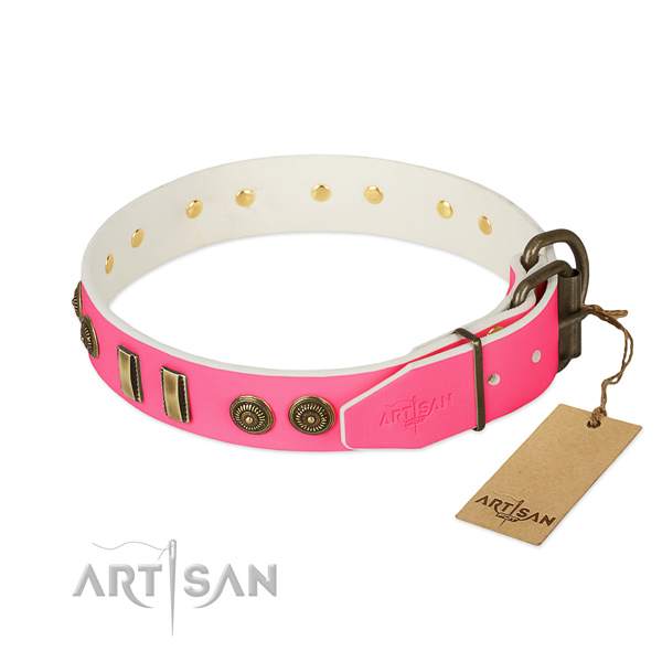 Reliable embellishments on leather dog collar for your doggie