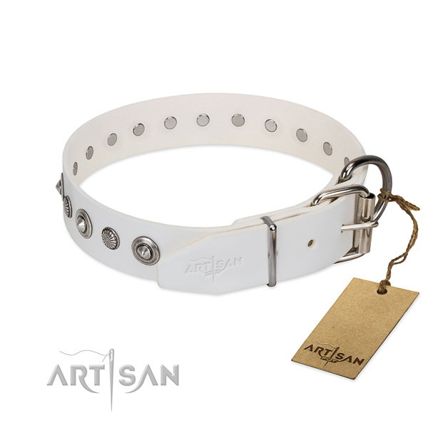 Quality leather dog collar with inimitable decorations