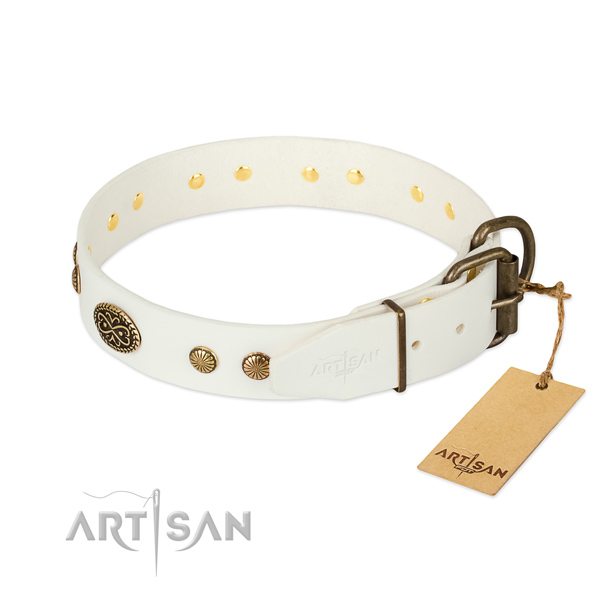 Corrosion resistant embellishments on genuine leather dog collar for your canine