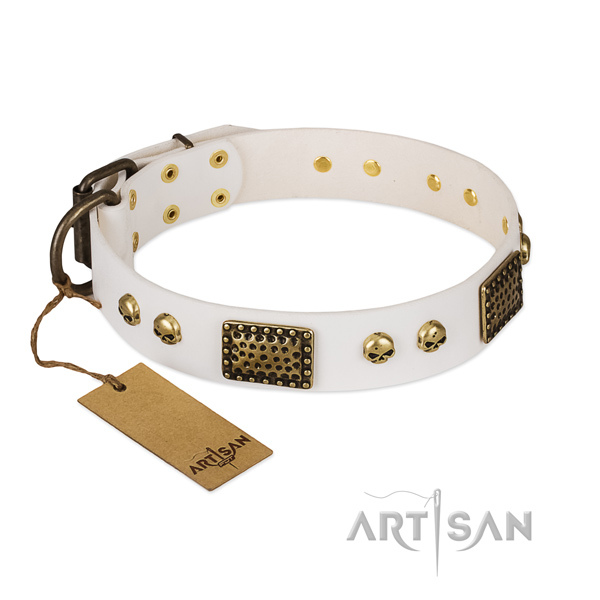 Reliable buckle on comfortable wearing dog collar
