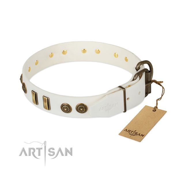 Strong decorations on natural leather dog collar for your four-legged friend