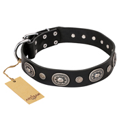 "Black Tie" FDT Artisan Leather Belgian Malinois Collar with Old Silver-like Decorations