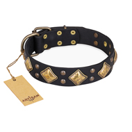 "Fancy-Schmancy" FDT Artisan Studded Leather Belgian Malinois Collar