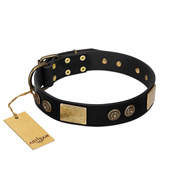 "Chicci-Glam" FDT Artisan Black Leather Belgian Malinois Collar with Plates and Ornate Studs