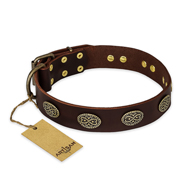 "Chocolate kiss" FDT Artisan Leather Belgian Malinois Collar with Old Bronze Look Oval Plates