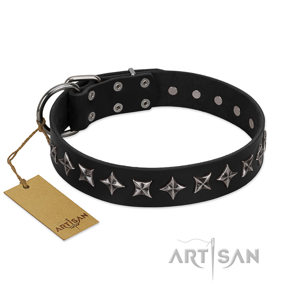 Comfortable wearing dog collar of strong genuine leather with adornments