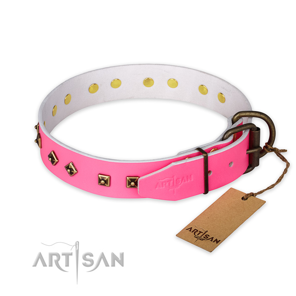 Corrosion proof fittings on full grain leather collar for daily walking your dog