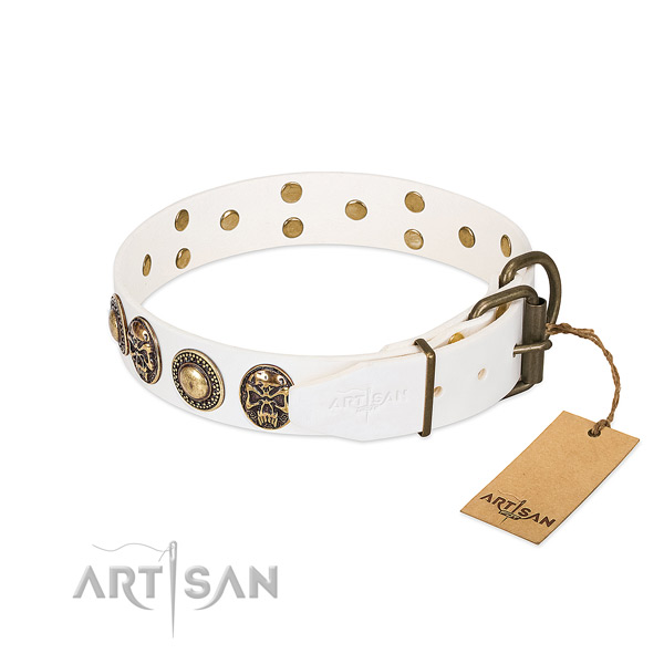 Rust-proof fittings on easy wearing dog collar