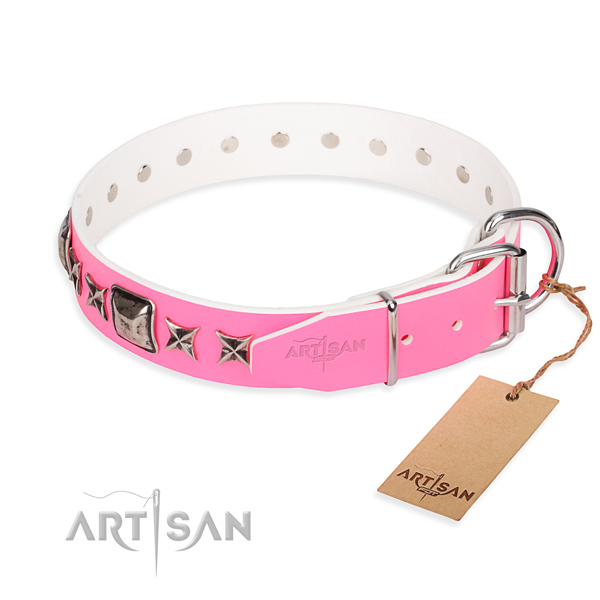 Durable studded dog collar of full grain leather