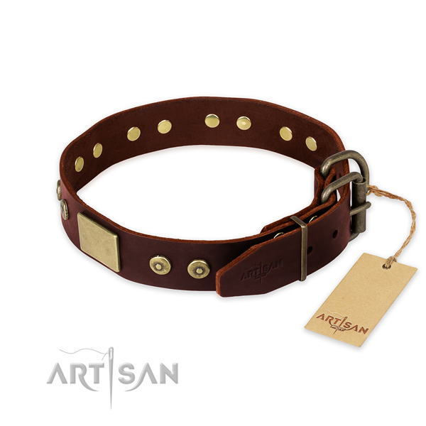 Corrosion proof adornments on easy wearing dog collar