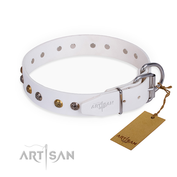 Full grain leather dog collar with exceptional durable decorations