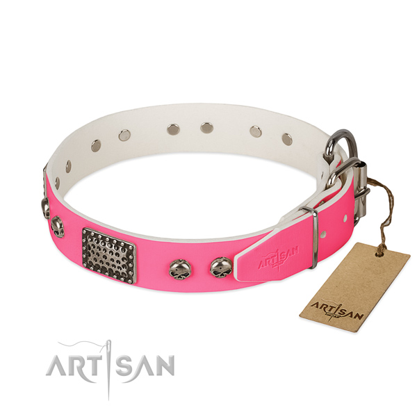 Durable D-ring on everyday walking dog collar