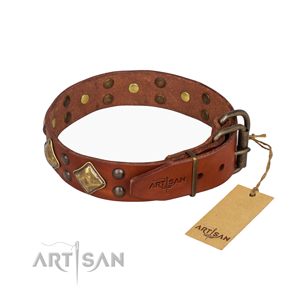 Full grain natural leather dog collar with extraordinary durable adornments